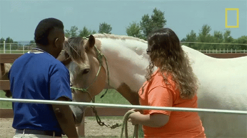 a woman holding a horse in a corral