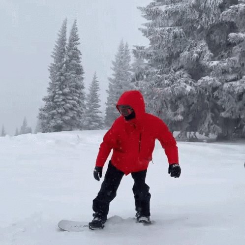 a snowboarder on a snowy mountain near trees