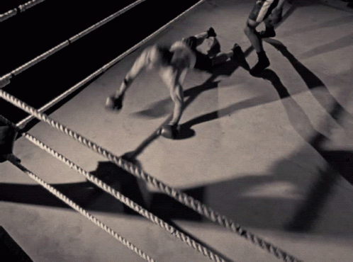 two wrestling wrestlers face each other while on the ropes