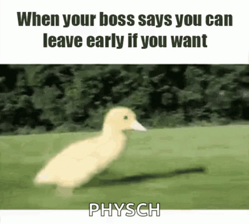 the white duck is running and it says when your boss says you can leave early if you want physch