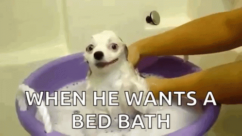 there is a dog that is sitting in a bathtub