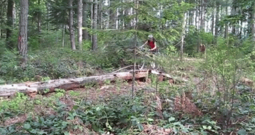 a man walking in a wooded area over a fallen tree