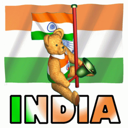 a teddy bear with a flag and the word india
