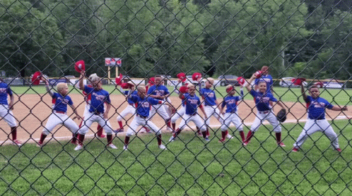 the baseball team is lined up in the fenced field