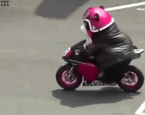a person in a leather outfit riding a motorcycle