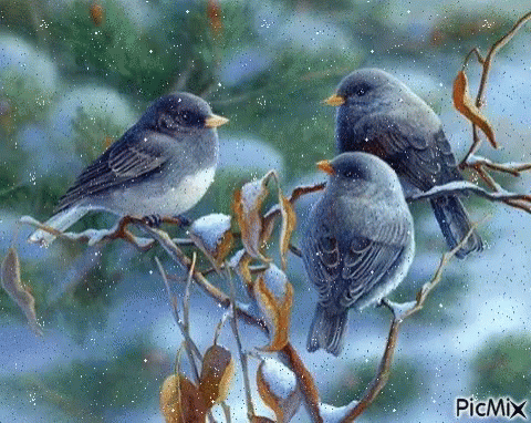 two birds are sitting on a nch with blue berries