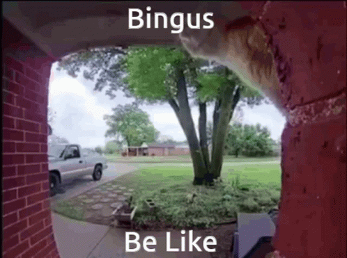 a tree with the words bingus and a car in it