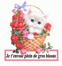 a white cat with flowers in the basket
