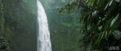 a big waterfall is surrounded by trees
