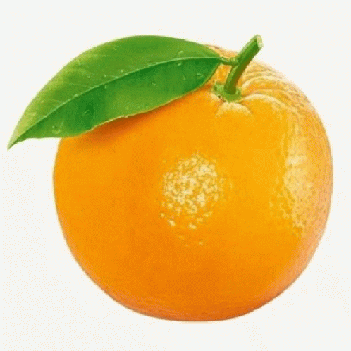 an image of a blue orange with a green leaf