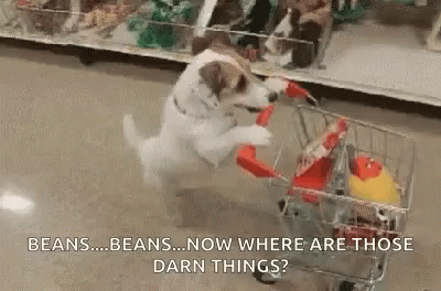 a dog hing a shopping cart while someone holds one