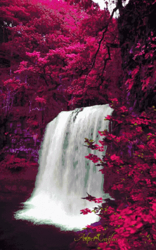 a waterfall that has a tree below it