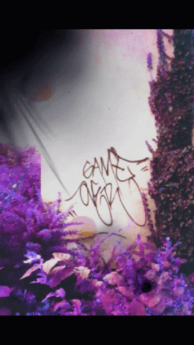 a bunch of graffiti with a pink plant and purple flowers