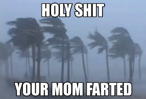 there is trees blowing in the wind with text saying holy  your mom farted