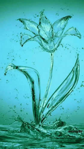 a picture of water with a flower on the front of it