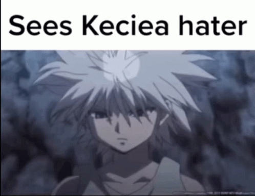 an anime image with a caption that says, see kleiea hater