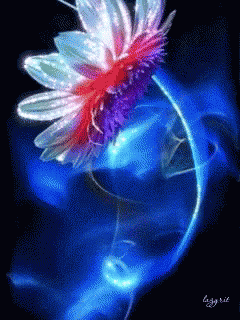digital pograph of flower in a vase