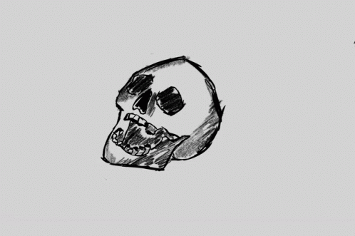 a sketch of a skull with its lower jaw exposed