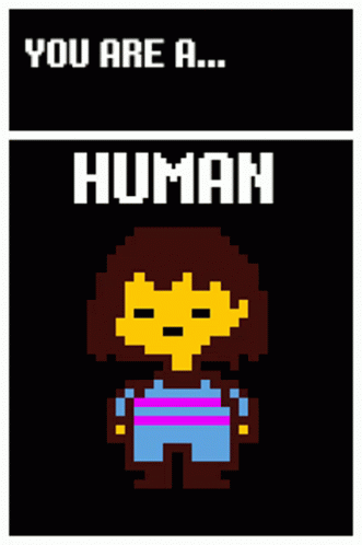 a pixel picture with text on it that says you are a human