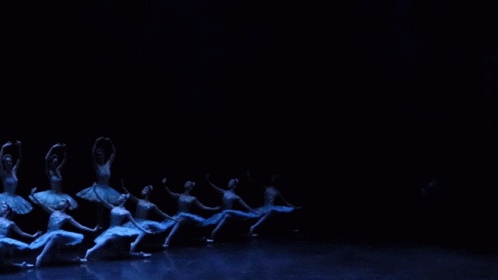 a row of dancers in motion against a dark background