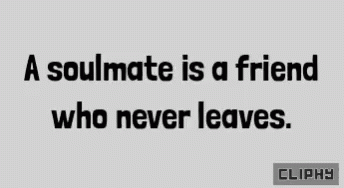 a quote on the wall that reads a soulmate is a friend who never leaves