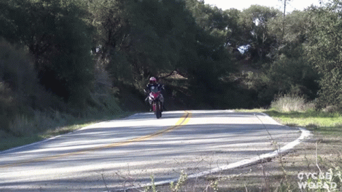 the motorcycle rider travels down the country road