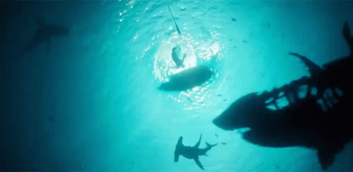 the shadow of several sharks as they float through the water