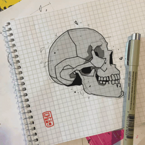 the sketch shows a human skull with no jaw