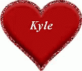 a heart shaped sign with the word skye printed on it