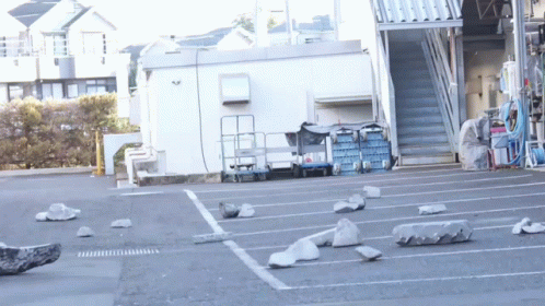 pigeons on the parking lot of a grocery store