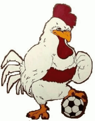 a white bird with blue beaks is playing soccer