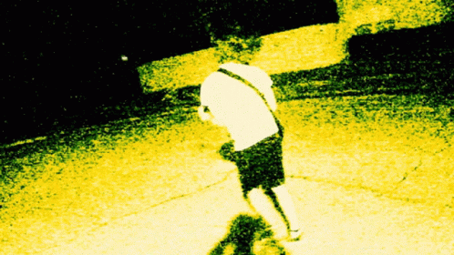 an image of a person in shorts with a skateboard