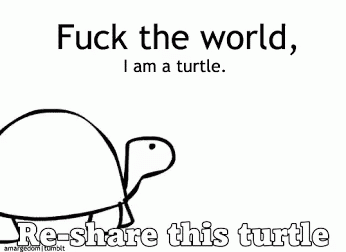 a cartoon turtle is shown with text overlaying
