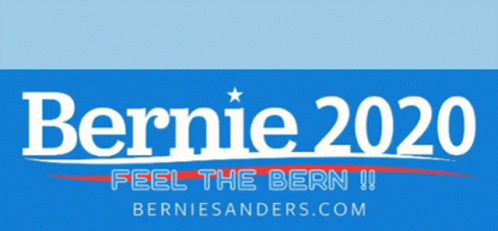 the bernie the bernie campaign banner, featuring a political image and a person's name
