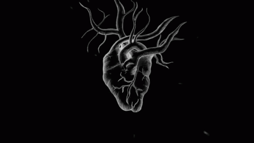 a black and white po of an animal's heart