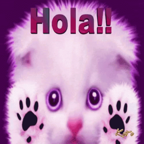 a close up of a kitten's face with the words hola above it