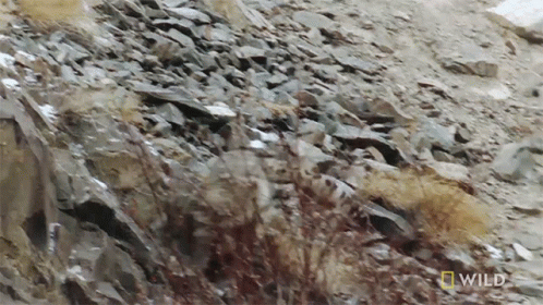 this is a view of rocks and ice on the side of the mountain