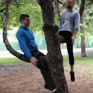 a couple of guys sitting in some trees