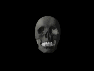 an alien skull with eyes open, seen in black and white