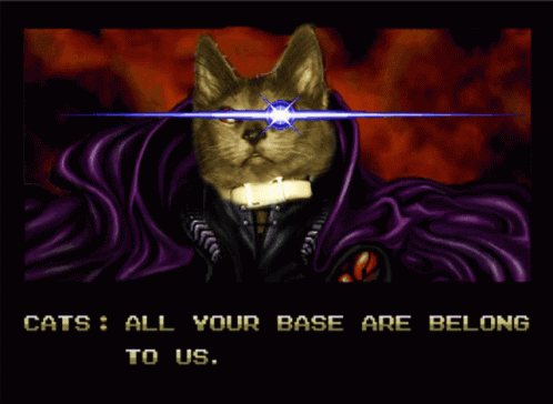 the title screen for the game cat's all your base are belong to us