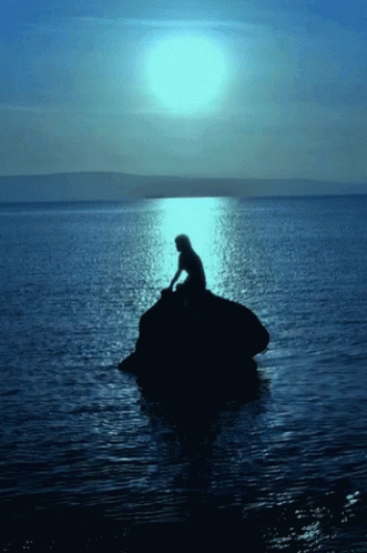 the silhouette of a person sitting on a rock in the ocean
