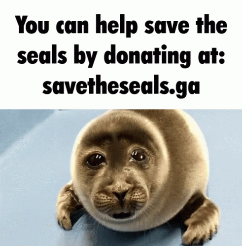 a sea lion with an awkward message about save the sea