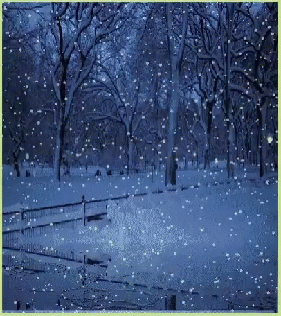 a snow covered field with trees and a street light