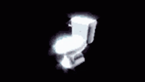 a blurry image shows a toilet in the dark