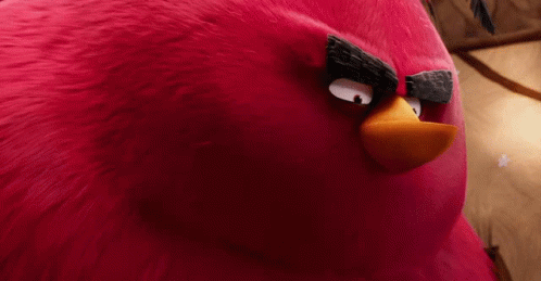 the angry birds movie looks like they are about to go into the new movie