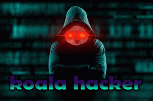a man in hooded clothing with text koala hackr on it