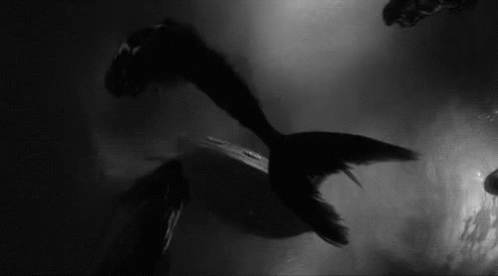 an underwater scene with birds flying over water