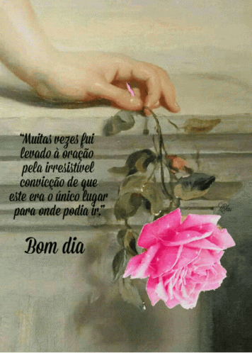 a quote written on a pograph and a person's hands touching a pink flower