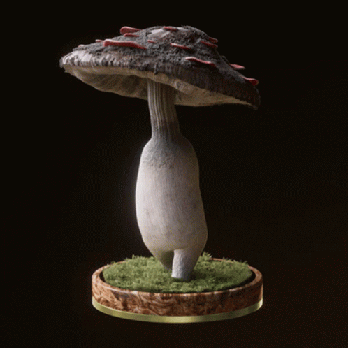 a sculpture with a mushroom and a sea foam