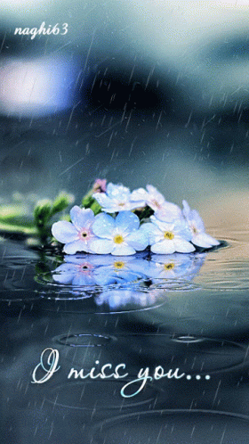 flowers floating on the surface of the water